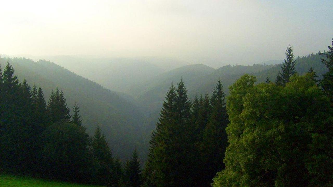 Schwarzwaldgasthaus Linde شرامبرغ المظهر الخارجي الصورة